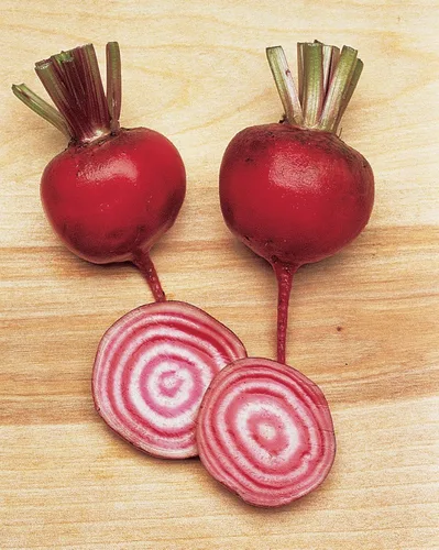 Miniatura 2 de Burpee Semillas de Remolacha Chioggia 200 semillas