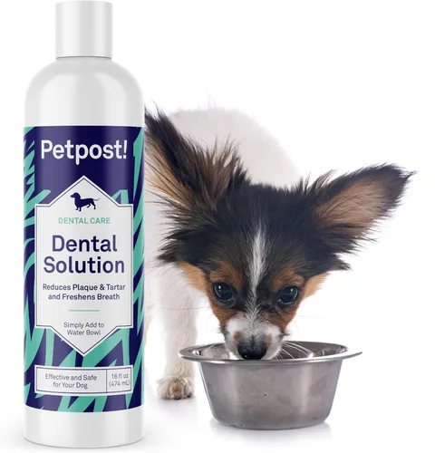 Miniatura 10 de Petpost Fresh Breath Foam for Dogs - Solución dental con sabor a menta y manzana que elimina el mal aliento - Tratamiento de limpieza dental