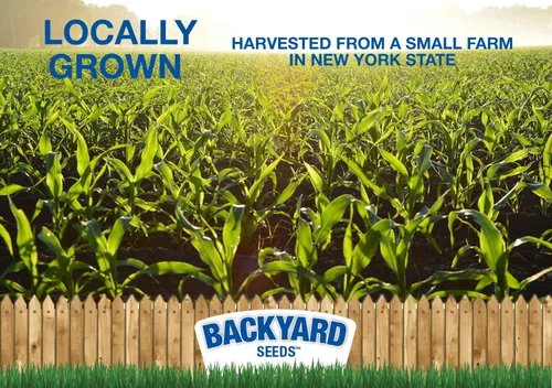 Miniatura 3 de CountryMax Backyard Seeds - Maíz agrietado de 50 libras – Alimento animal de alta energía para pollos, ardillas, ciervos y aves silvestres