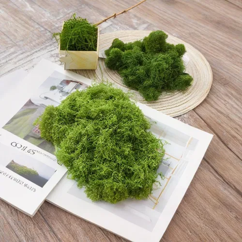Miniatura 7 de Musgo verde claro falso para plantas en maceta, 3.5 onzas, musgo sintético artificial para manualidades, musgo preservado para bricolaje, centros