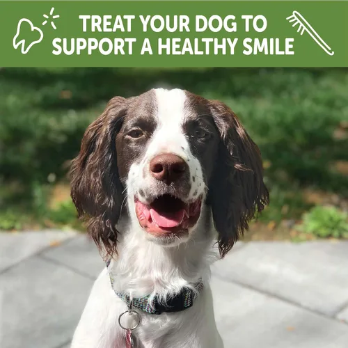 Miniatura 6 de WHIMZEES Wellness Golosinas Dentales para Cachorros, Tamaño Mediano y Grande Stick, (14 Unidades)