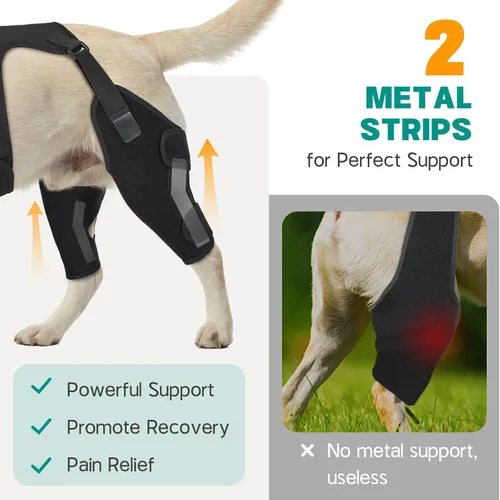 Miniatura 2 de Rodilleras ajustables para patas de perro para pierna trasera, con 4 estabilizadores, ACL para reducir el dolor, lesiones de ligamentos y rótula