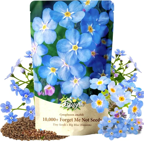 Miniatura 10 de Más de 16000 semillas de flores de Zinnia para mezcla de colores 2026-7+, alta tasa de germinación, perfectas para jardines, mezcla de semillas