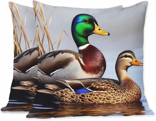 Miniatura 13 de Juego de 2 fundas de almohada decorativas con diseño de mapa del mundo, geografía terrestre y marítima con etiquetado, para el hogar, sofá, silla