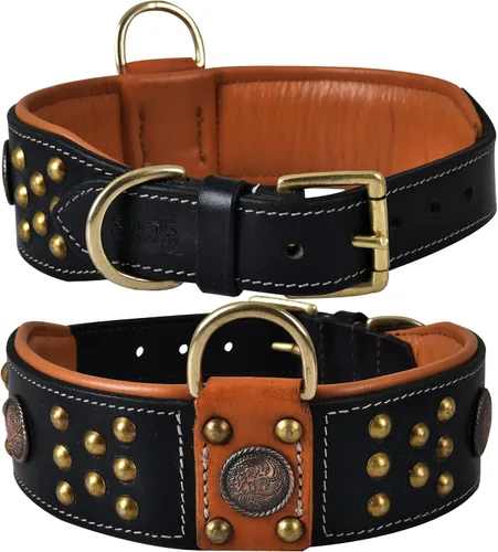 Miniatura 14 de Collar de perro de la serie 'Cupola' de cuero genuino, conchos celtas y remaches de cúpula dorada, acolchado suave, hecho a mano, ideal para razas