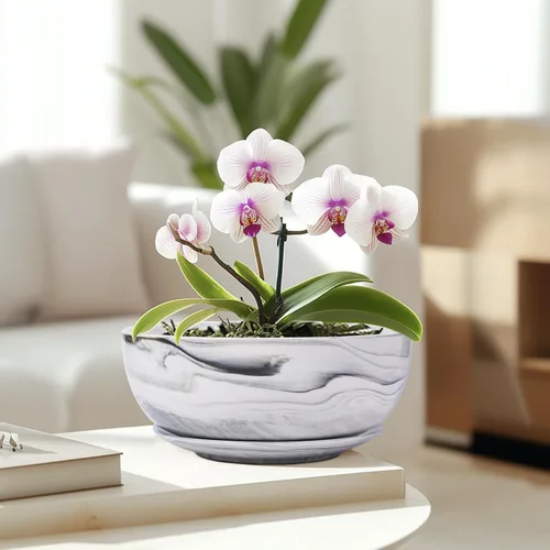 Miniatura 6 de G EPGardening Macetas Bonsai, Maceta de Cerámica de 8 Pulgadas con Patrón de Mármol y Orificio de Drenaje y Platillo para Plantas, Maceta Grande