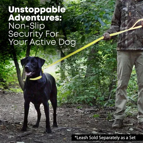 Miniatura 5 de Collar impermeable para perro con anillo central resistente Collar para perros pequeños, medianos, grandes o XL, Amarillo