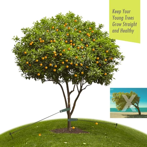 Miniatura 4 de Kit de estacas de árbol resistente, estacas de acero de 11.8 pulgadas y soportes para árbol joven, antiviento fuerte, kit de enderezamiento
