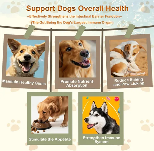 Miniatura 3 de Los probióticos masticables suaves para perros apoyan la salud intestinal, alivio de gases para la diarrea, el equilibrio digestivo de levaduras