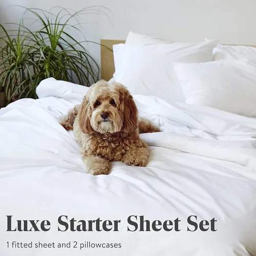Miniatura 5 de Brooklinen Juego de sábanas de satén de lujo (3 piezas), tamaño California King, blanco, 100% algodón, incluye 1 sábana bajera y 2 fundas de Blanco