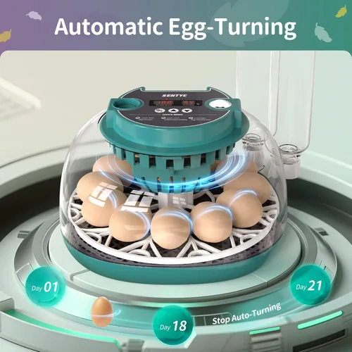 Miniatura 5 de Incubadora automática de huevos para incubar huevos con pantalla LED de temperatura, control de humedad y volteador de huevos, incubadora de tapa