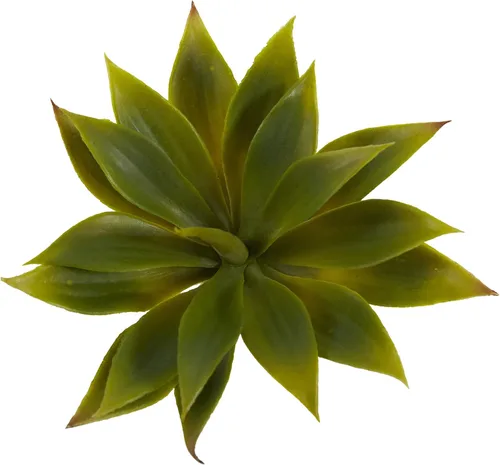 Miniatura 3 de Nearly Natural 6110-S12 Planta suculenta de agave, mini, juego de 12