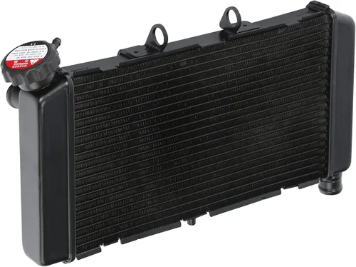 TCT-MOTORPARTS Radiador de enfriamiento del refrigerador del motor apto para HONDA NC700X 2012-2017 NC750X 2014-2023