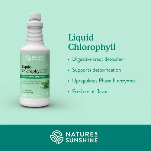 Miniatura 3 de Nature's Sunshine Clorofila ES (extra fuerte), 16 onzas líquidas