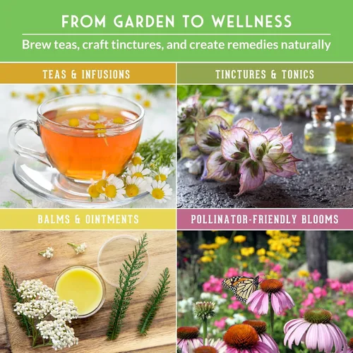 Miniatura 10 de Paquete de Variedad de Semillas de Hierbas Medicinales Ultimate – 36 Hierbas Curativas Heirloom sin OGM para Plantar Kit de Jardín de Bienestar