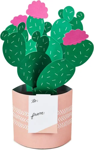 Miniatura 2 de Hallmark Tarjeta desplegable para el Día de la Madre (plantas de invernadero y gatos) Maravilla de papel para cumpleaños, aliento y pensamiento de ti