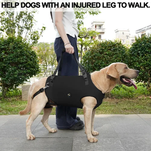 Miniatura 6 de Coodeo Arnés de elevación para perros, soporte y rehabilitación con correa ajustable acolchada y transpirable para perros ancianos, discapacitados