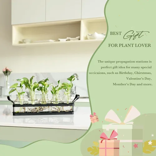 Miniatura 5 de Mkono Estaciones de propagación con soporte de metal, plantas de escritorio, terrario de vidrio, jarrón para plantas hidropónicas, corte de flores
