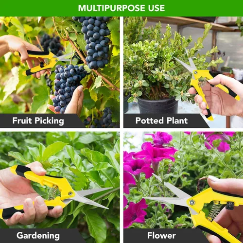Miniatura 7 de iPower Tijeras de podar de 6.5 pulgadas para jardinería, tijeras de recorte, podadora manual, acero inoxidable, amarillo