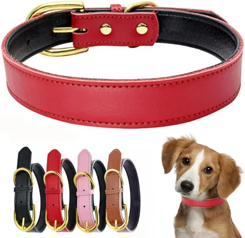 Miniatura 9 de Collares de cuero para perros medianos, acolchado suave al tacto, grueso de piel de vaca auténtica, hebilla dorada duradera, collares ajustables