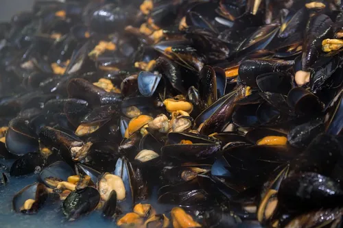 Miniatura 5 de Matiz Mejillones españoles en aceite de oliva virgen extra y vinagre de sidra de manzana 3.92 oz - 1 paquete Hecho a mano en Galicia, España