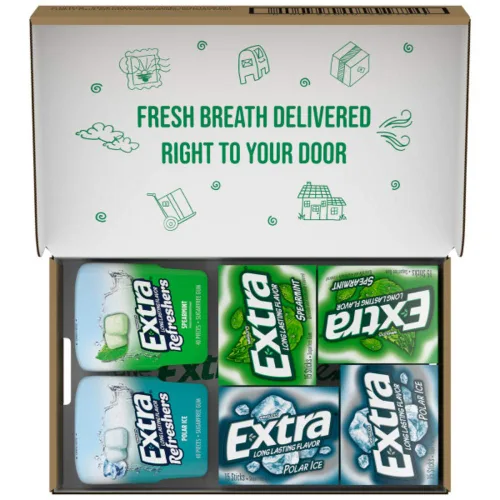 EXTRA Spearmint & Polar Ice - Goma de mascar sin azúcar, surtido a granel, 15 palitos y 40 piezas (2 paquetes de botellas y 12 paquetes individuales)