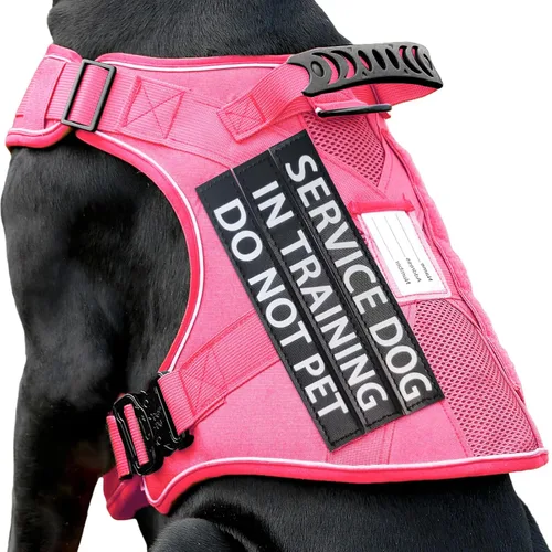 Miniatura 14 de Chaleco de perro de servicio para perros medianos, arnés de perro de servicio en entrenamiento con parches, chaleco ajustable para perros