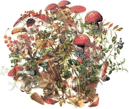 Juego de calcomanías de plantas de hongos (80 piezas) calcomanías transparentes de naturaleza vintage para álbumes de recortes, planificador, Hongos