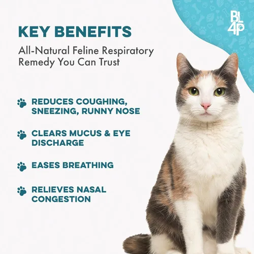 Miniatura 3 de Suplemento Natural para el Confort Respiratorio de Gatos - Apoyo Respiratorio Felino Breathe Easy para Todas las Estaciones, Tos, Congestión Nasal