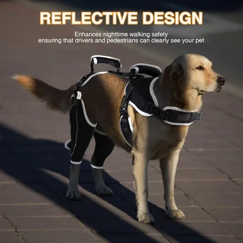 Miniatura 6 de Rodillera para perro para rehabilitación de desgarro del ligamento cruzado anterior y rótula dislocada, soporte ajustable para piernas y suficiente