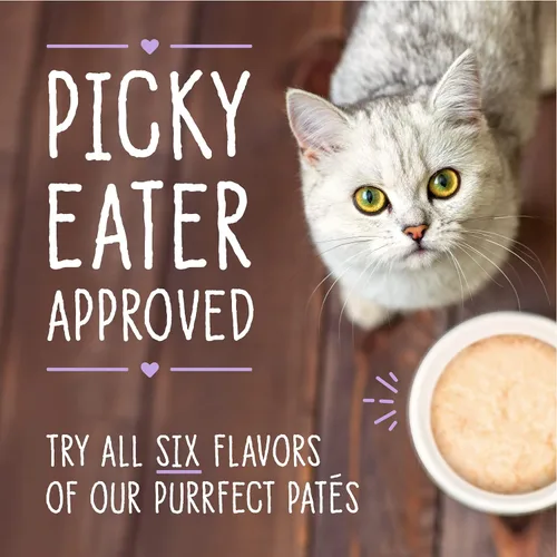 Miniatura 10 de Stella & Chewy's Carnivore Cravings Purrfect Paté - Alimento húmedo prémium sin granos para gatos, receta de atún y calabaza, alto en proteínas
