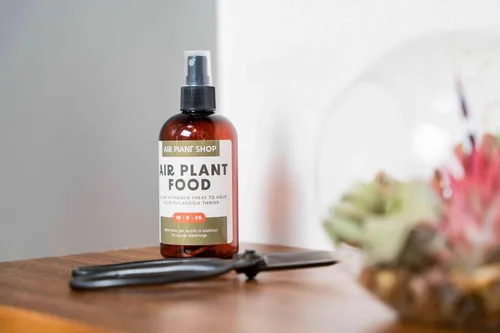 Miniatura 5 de Regadera de cristal para plantas – Botella de spray de 8 onzas de oro para plantas – Regadera con una sola mano para plantas