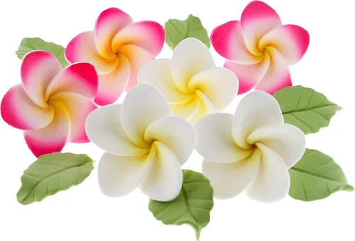 Global Sugar Art Tropical Frangipani Plumeria - Flores comestibles de azúcar, para pastel de boda y cupcakes con hojas, 24 unidades por cuenta del