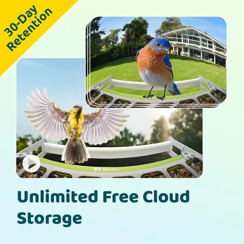 Miniatura 6 de Birdfy Comedero inteligente para pájaros con cámara, alimentador de pájaros de metal duradero para exteriores, detección automática y grabación