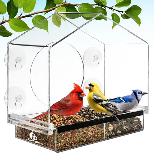 Comedero para pájaros montado en la ventana con fuertes ventosas - Regalos para abuela Observación de aves Regalos para abuelo Observación de aves