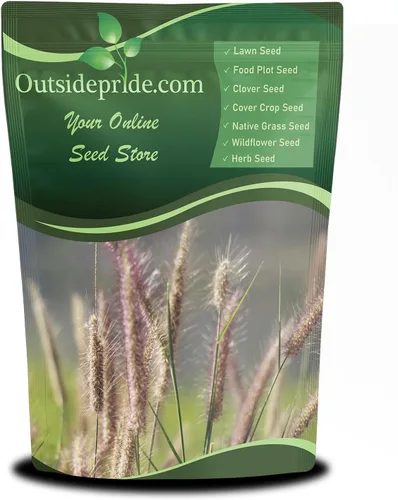 Outsidepride Perennial Northeast - Mezcla de semillas de hierba nativa del noreste, 5 libras, tolerantes al frío y a la sequía, semillas de pradera