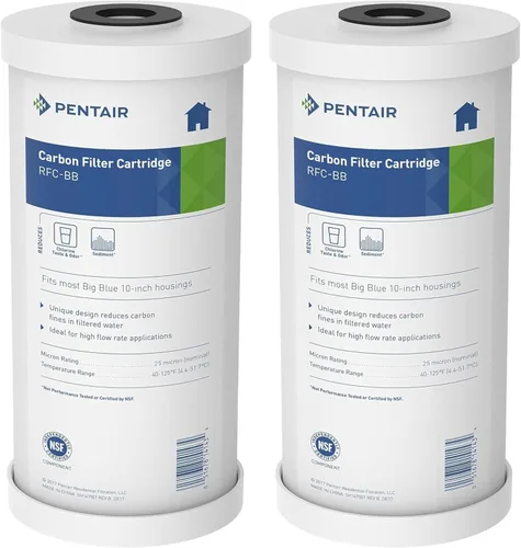 Pentair Pentek RFC-BB - Filtro de agua de carbono azul grande, 10 pulgadas, cartucho de repuesto de carbono de flujo radial resistente para toda la