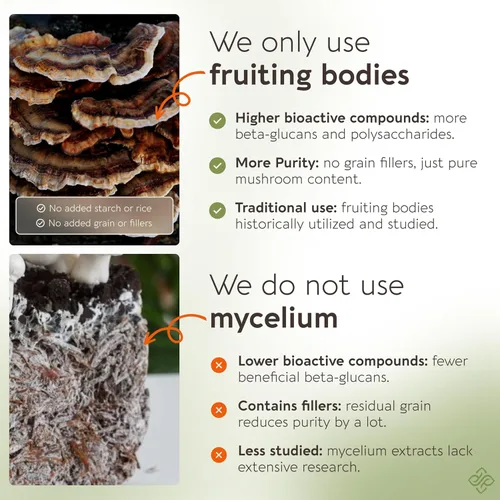 Miniatura 6 de Power 15 - Extracto de suplemento en polvo de mezcla de hongos 3.53 oz Shiitake, melena de león, chaga, reishi, cordyceps, complejo de espectro