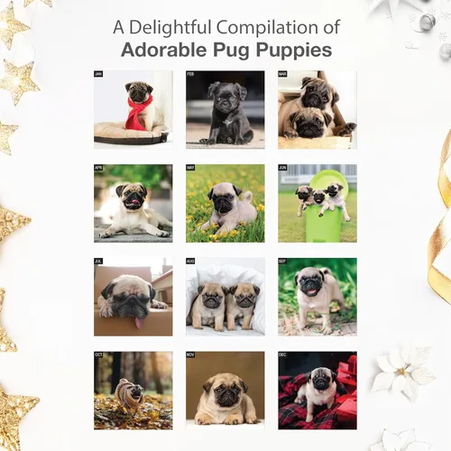Miniatura 3 de RED EMBER Pug Puppies - Calendario de pared 2026 de 12 meses 12 x 24 pulgadas abierto Papel grueso y resistente Regalo Lindo calendario