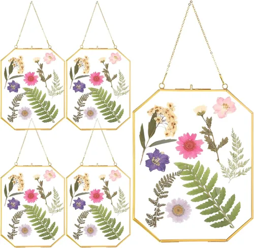 Miniatura 9 de Treela 4 marcos de flores prensadas de vidrio de 4 x 6 pulgadas, marcos de vidrio dobles colgantes con cadena de metal octágono de latón para mesa