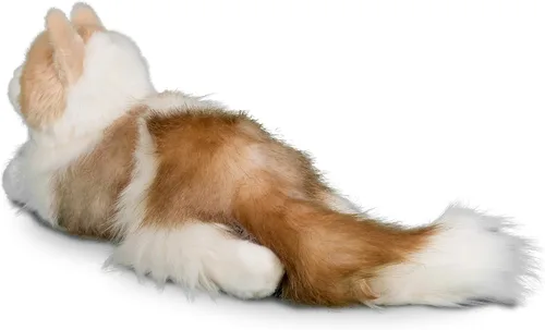 Miniatura 4 de Douglas Kiki Gato Ragdoll de Peluche de Felpa