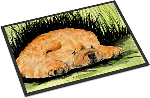 Miniatura 168 de Caroline's Treasures SS8220MAT - Felpudo afgano de 18 x 27 pulgadas, para interiores y exteriores, para entrada, antideslizante, lavable, de pelo