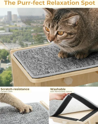 Miniatura 7 de Pecute Estantes dobles para gatos con poste rascador para pared y ventana con madera maciza, ventosa fuerte, alfombrilla de cubierta lavable, cama
