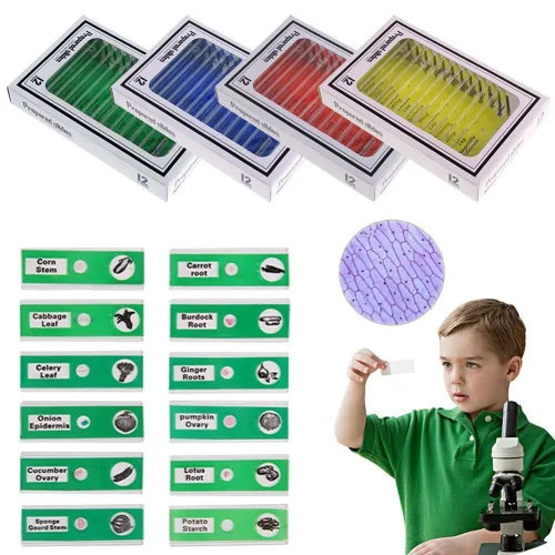 Miniatura 3 de Diapositivas de microscopio preparadas para niños, 48 piezas de animales de plástico, insectos, plantas, flores, muestras de muestras para 48