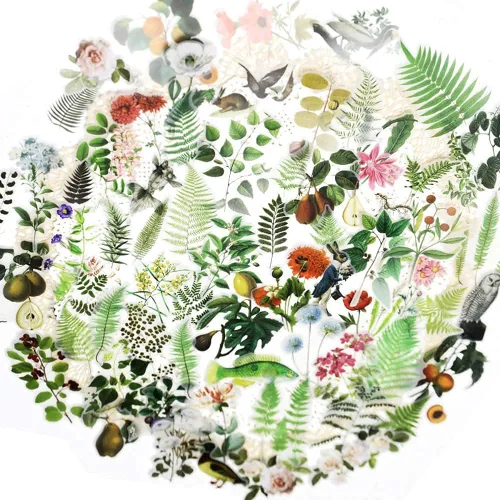 Doraking 65 calcomanías para álbumes de recortes, decoración de bricolaje, papel sulfúrico transparente, plantas verdes para álbumes de recortes,