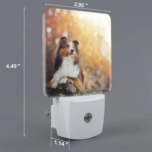 Miniatura 2 de Futterya Luz nocturna LED personalizada enchufable, juego personalizado de 2 lámparas de decoración con sensor automático del atardecer al amanecer