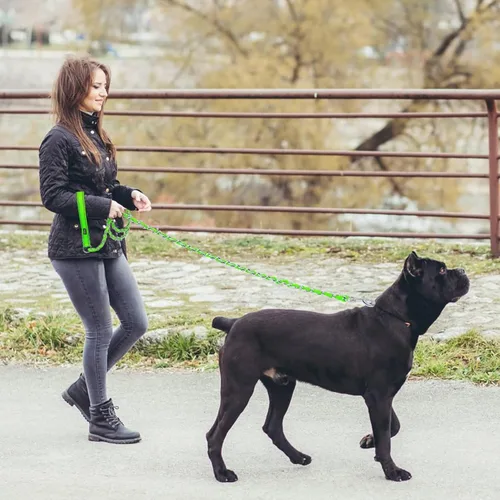 Miniatura 6 de HOMIMP Correa de perro a prueba de masticación para perros medianos y grandes, correas de cadena metálica reflectantes de 6 pies resistentes