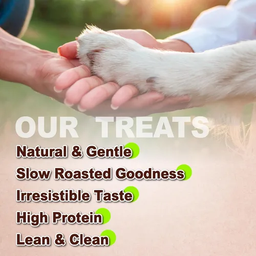 Miniatura 4 de A Freschi srl Cecina de pollo para perro, golosinas totalmente naturales para perros, alta en proteínas, saludable y fácil de digerible, masticables