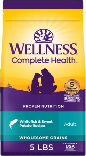 Wellness Complete Health - Alimento seco para perros con granos, ingredientes naturales, fabricado en Estados Unidos con carne real, todas las