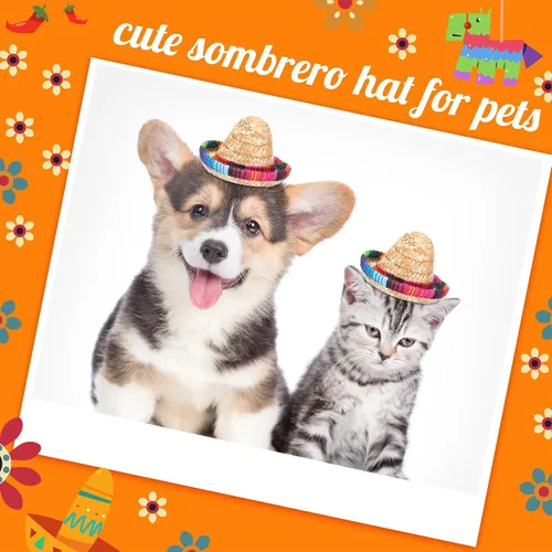 Miniatura 6 de Pasimy Juego de 12 sombreros de fiesta de mini sombrero, bigotes falsos, 6 diademas mexicanas con 6 bigotes para disfraz de Halloween